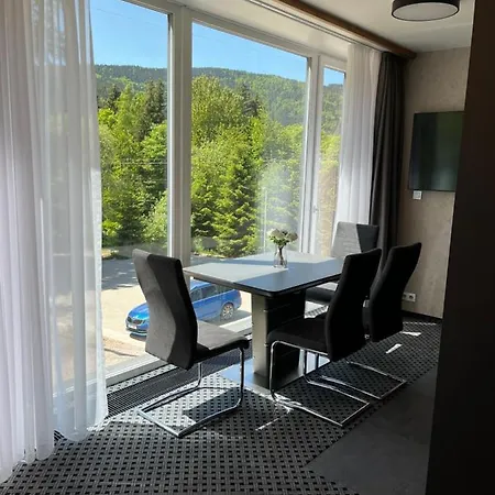 Apartment Rezidence Alpina 10,11 *