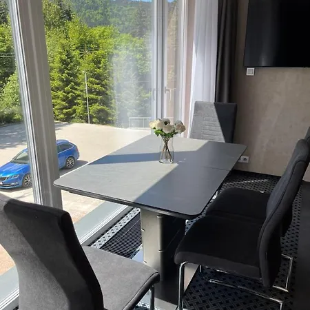 Apartment Rezidence Alpina 10,11 *