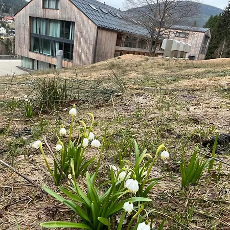Apartment Rezidence Alpina 10,11 Špindlerŭv Mlýn