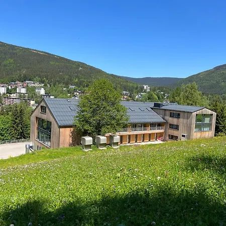 Rezidence Alpina Apartment