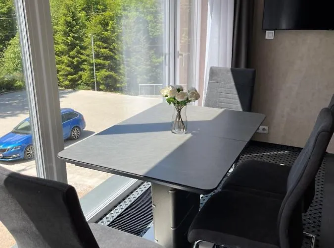 Apartment Rezidence Alpina 10,11 *