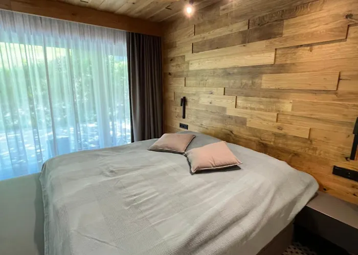 Rezidence Alpina 10,11 Apartment
